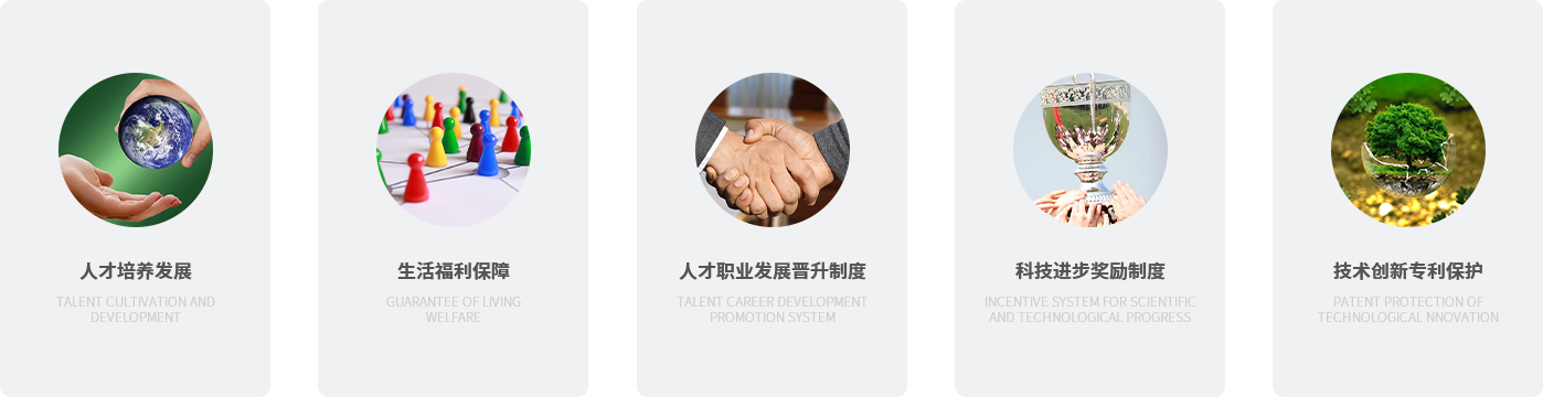 Talent Concept(图3)